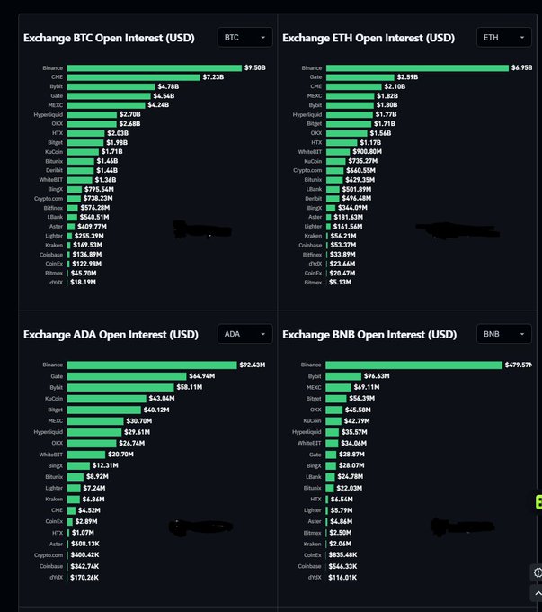 Dashboard displaying cryptocurrency open interest data across exchanges for BTC, ETH, ADA, and BNB, with Binance leading in all categories.