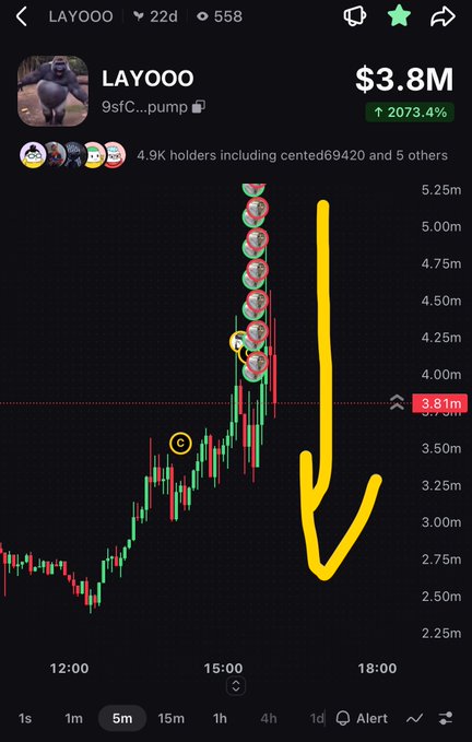 A mobile trading screen shows the LAYOOO (LAYOO) meme token with a market cap of $3.8M, a 2073.4% gain, and a candlestick chart marked with a large yellow downward arrow.