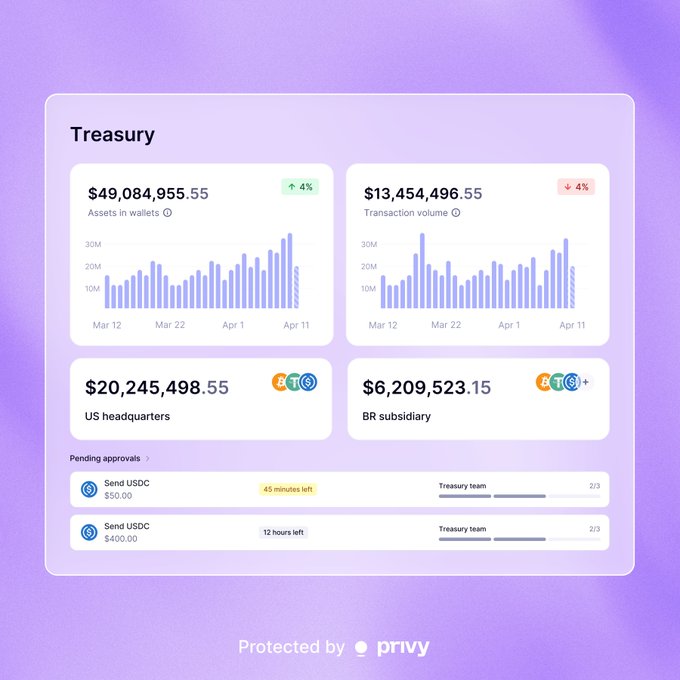 Light purple 'Treasury' dashboard showing $49,084,955.55 in assets and $13,454,496.55 in transaction volume, with subsidiary balances and pending USDC approvals, branded 'Protected by privy'.