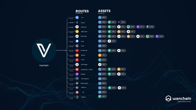 A Vechain blockchain infographic displaying connected routes and assets including Bitcoin, Ethereum, BSC Chain, and various cryptocurrencies against a dark blue background.