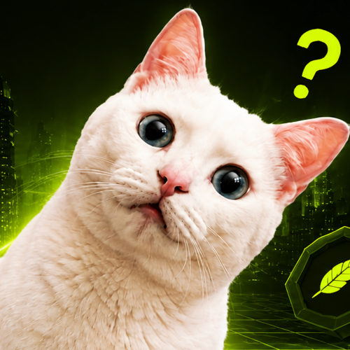 A close-up of a white cat with wide eyes looks quizzically at the camera next to a yellow question mark and a green icon with a leaf symbol.