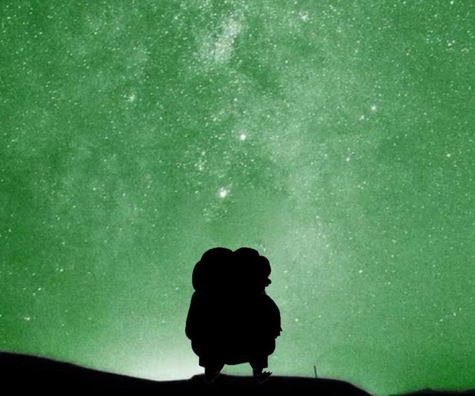 A silhouette of a small figure stands against a green-tinted starry night sky with the Milky Way visible above.