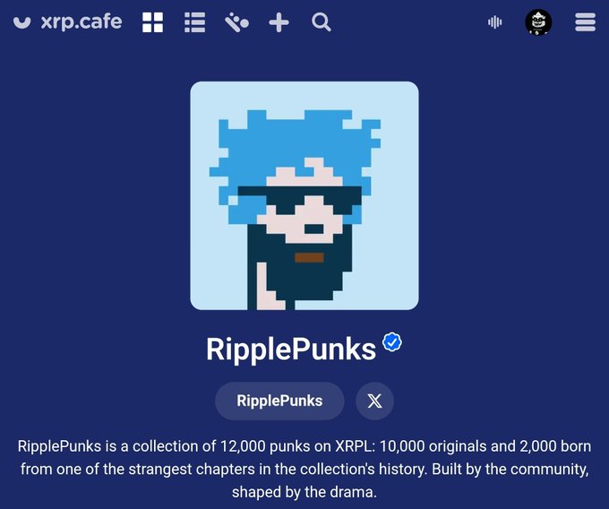 An xrp.cafe webpage displaying the 'RipplePunks' NFT collection, described as 'a collection of 12,000 punks on XRPL: 10,000 originals and 2,000 born from one of the strangest chapters in the collection's history. Built by the community, shaped by the drama.'