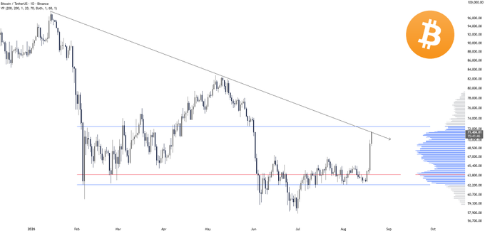 Bitcoin daily chart with BTC/TetherUS on Binance, showing price currently testing a long-standing descending trendline from the February high near $95,000, with horizontal support around $63,500-$65,000 and resistance at approximately $74,800 marked on the right-side volume profile.