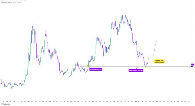 A candlestick trading chart on TradingView shows price action with annotations including '2020 BREAKOUT', 'HOLDING SUPPORT', and 'CAN WE SEE A REVERSAL?' marking key technical levels.