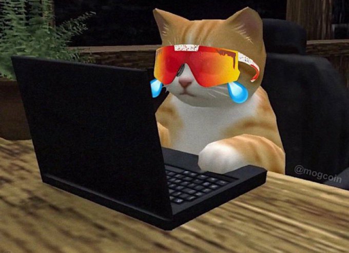 A humorous meme image showing an orange and white cat wearing red reflective sunglasses while crying cartoon tears, appearing to use a black laptop on a wooden desk, with the watermark '@mogcoin' visible.