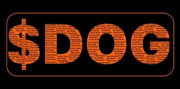 A neon-style graphic displays '$DOG' filled with repeating text 'HOOL BODO STUDY EDDY BUY BODO' inside an orange rounded rectangle frame.