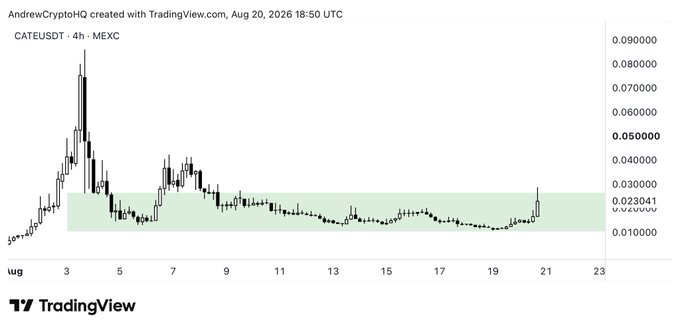 A TradingView candlestick chart of CATE/USDT on MEXC shows the token's price peaking near $0.09 in early August before declining into a long consolidation range between roughly $0.01 and $0.025, with a recent sharp wick near $0.03 suggesting renewed upward momentum that aligns with the bullish "$CATE BILLION. DOLLAR. CATE." outlook.