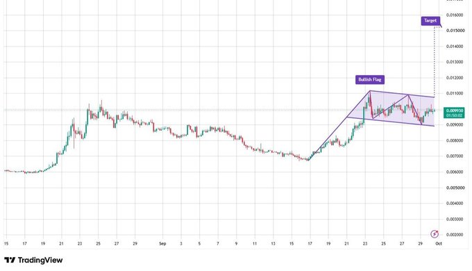 TradingView chart showing a bullish flag pattern on a cryptocurrency pair, with a purple shaded flag formation and a 'Target' level indicated at approximately 0.016000.