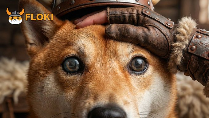 The image features a brown dog with blue eyes, wearing a helmet that has "FLOKI" written on it. The dog's head is resting on someone's hand, suggesting a playful or affectionate interaction between the person and the dog. In the background, there are two sheep visible, adding to the overall composition of the image.