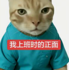 Meme of an orange cat in a teal shirt with Chinese text '我上班时的正面' (my face when at work).
