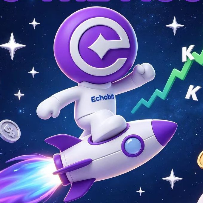 A promotional illustration for Echobit featuring a purple and white mascot character with an 'e' logo riding a rocket through a starry space background with a green upward chart.