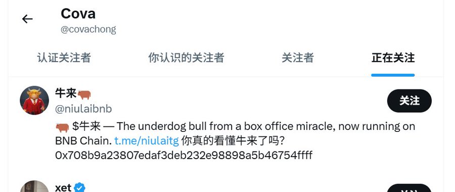 The image shows a Twitter/X profile page for "Cova" (@covachong) on the "正在关注" (Following) tab, displaying a followed account "牛来" (@niulaibnb) promoting a BNB Chain token with contract address 0x708b9a23807edaf3deb232e98898a5b46754ffff. The screenshot appears to be referenced in the post as evidence of someone publicly endorsing a suspected scam or manipulative crypto project on BNB Chain, illustrating the criticism about supporting "conspiracies" and "manipulators" on-chain.