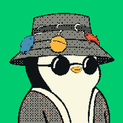 A pixel art style illustration depicts a penguin character wearing a gray bucket hat decorated with colorful birds, black round sunglasses, and a jacket, set against a bright green background.