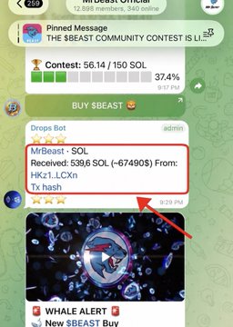 The image displays a MrBeast Beast Community Contest bot message highlighting a large whale purchase of 539.6 SOL ($67,490) for the MrBeast ($BEAST) token, as visually indicated by a red arrow pointing to the transaction, reinforcing the post's claim about a massive presale buy driving excitement ahead of the launch.