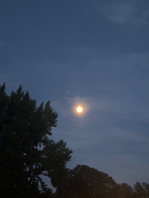 A twilight sky with a bright full moon shining through thin clouds above the dark silhouettes of treetops.