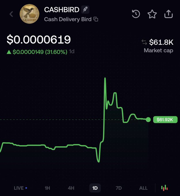 A 1-day price chart of the cryptocurrency "CASHBIRD" (Cash Delivery Bird) showing a current price of $0.00000619 with a 31.60% increase (+$0.00000149) and a market cap of $61.8K, illustrating the volatile price action and sharp spike referenced in the post about emerging meme coin catalysts.