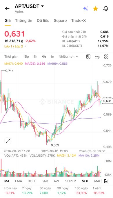 A mobile app screenshot from Binance showing the APT/USDT (Aptos) trading chart with a current price of 0.631, down 2.62%, displaying candlestick data and moving averages.
