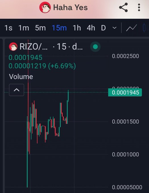 A 15-minute candlestick chart for the RIZO token shows a price of 0.0001945, up 6.69%, with visible volatility including a sharp drop and recovery pattern.