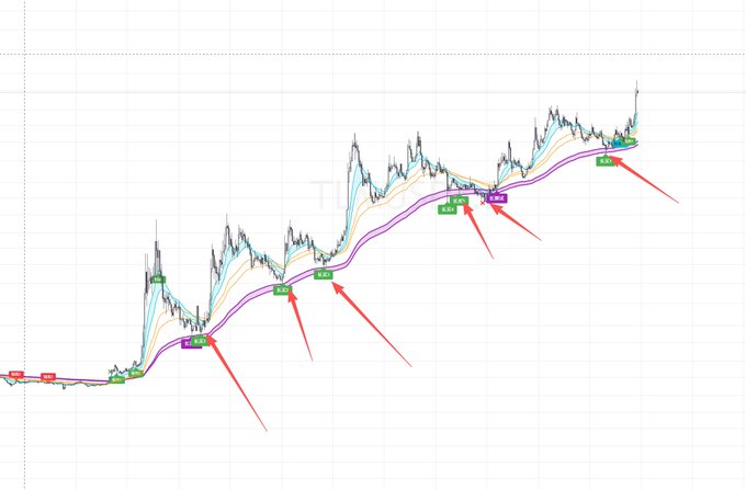A TradingView chart of $TLM shows multiple moving averages with green "Buy" signals and red arrows marking entry points along an uptrend, with the post's author humorously referencing missed the optimal November 3rd entry due to attending a K-pop concert and watching a sports game.