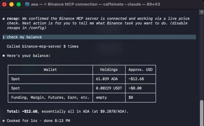 A terminal window titled 'aaa - Binance MCP connection' showing a chat interface where an AI confirms a Binance MCP server connection and displays a table of a user's crypto wallet balances, totaling approximately $12.68 mostly in ADA.