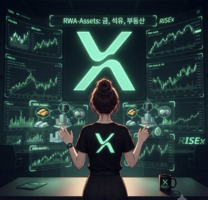 A person with their back turned is shown in front of a large screen displaying RISEx exchange charts with the text "RWA-Assets: 금, 석유, 부동산" (Gold, Oil, Real Estate), visually illustrating the platform's focus on tokenized real-world assets featured in the post.

(Disclaimer: The image and text referenced appear to be promotional material for a specific trading platform. Please verify all claims independently before making any financial decisions.)