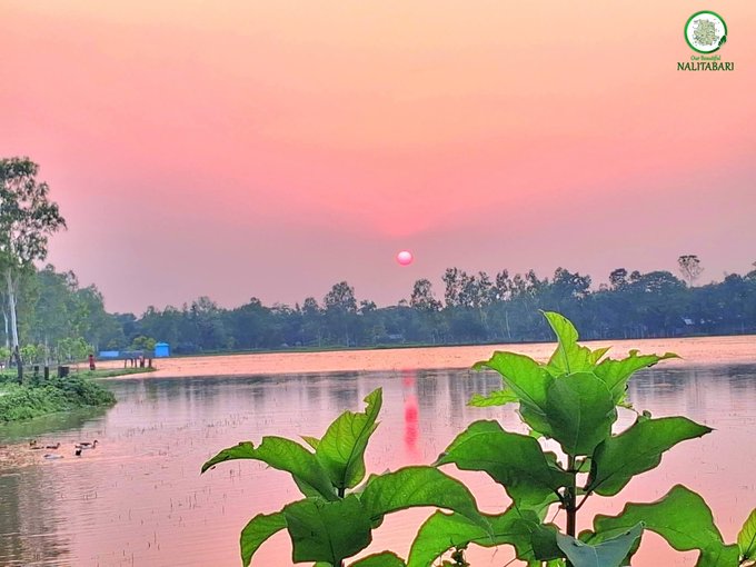 A serene photograph of a sunset over a lake in Naltabari, with a pink and orange sky reflected in the water and green foliage in the foreground.