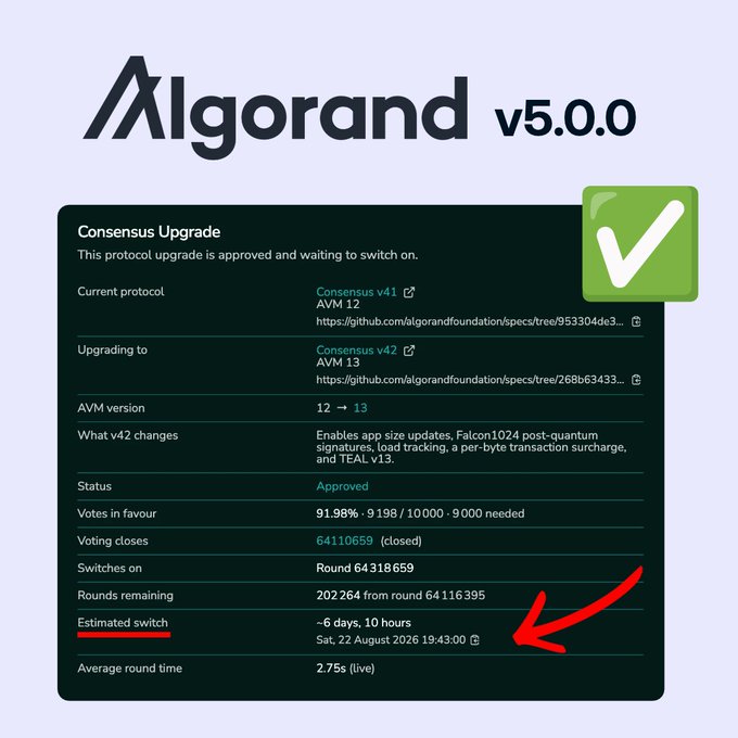 An Algorand v5.0.0 Consensus Upgrade information panel showing the upgrade from Consensus v41 (AVM 12) to Consensus v42 (AVM 13), marked as approved and waiting to switch on, with a red arrow pointing to 'Estimated switch: ~6 days, 10 hours, Sat, 22 August 2026 19:43:00'.