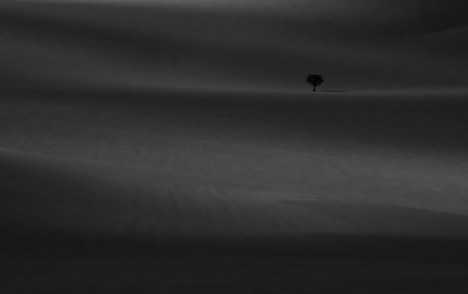 A solitary tree stands alone atop a vast, undulating landscape shrouded in twilight darkness, embodying the minimalist, moody essence of the artwork titled "Twilight." The smooth, shadowy dunes surrounding the lone tree evoke a sense of quiet solitude and mystery fitting for this Tezos-based photography piece.