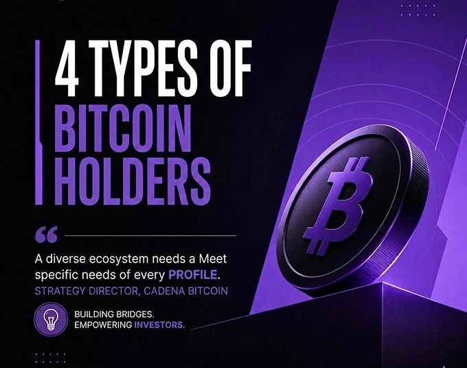 The image features a coin with a black center against a purple background. The text above the coin reads "4 types of Bitcoin holders", while below it there's an explanation about different types of Bitcoin holders.