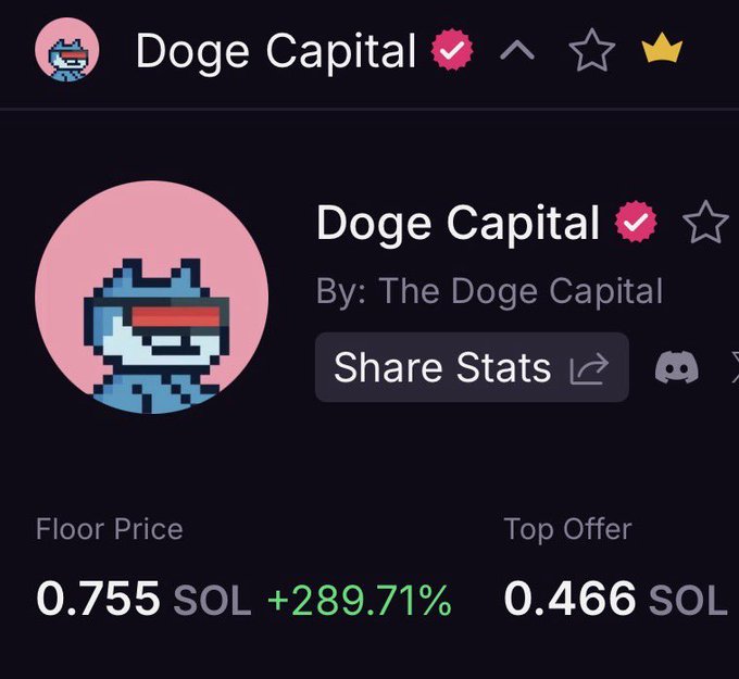 A screenshot of the "Doge Capital" NFT collection page on a marketplace shows a Floor Price of 0.755 SOL (+289.71%) and a Top Offer of 0.466 SOL, highlighting a dramatic price surge. The post's teasing tone of someone "knowing something you don't" suggests an inside tip or insider knowledge about the collection's rapid rise.