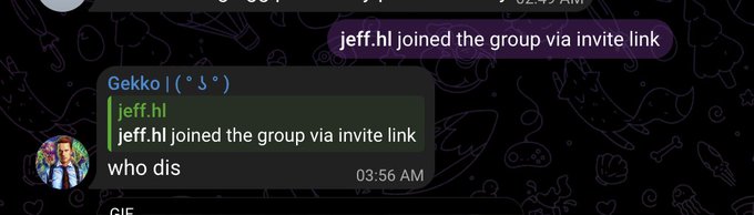 A Discord chat screenshot shows 'Gekko | ( * 'ᵕ ' )' welcoming 'jeff.hl' who joined the group via invite link, with a message reading 'who dis' at 03:56 AM.