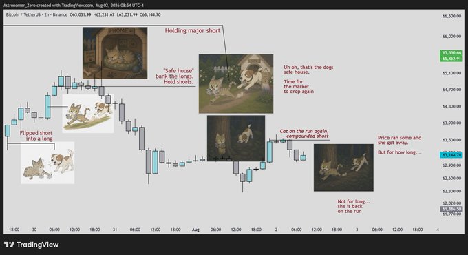 A humorous TradingView chart of Bitcoin (BTC/USD) on August 2-4, 2024, uses a cat and dog meme to illustrate market direction—cats represent shorts (safe house, time to drop, not for long) while dogs represent longs—captioned to reflect a bearish outlook suggesting BTC will drop lower once the market "finds out" the bulls are being misled.