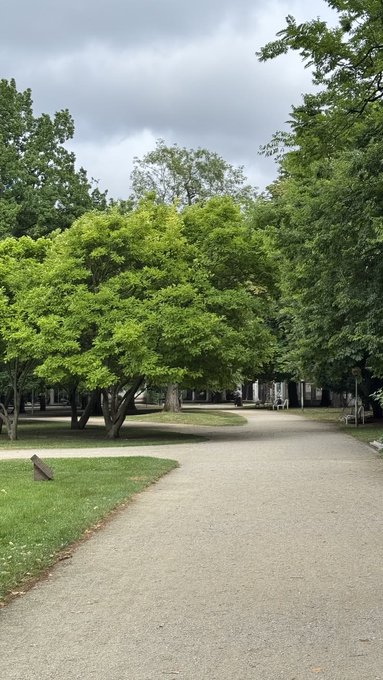 A paved path winds through a lush green park with large trees under an overcast sky.