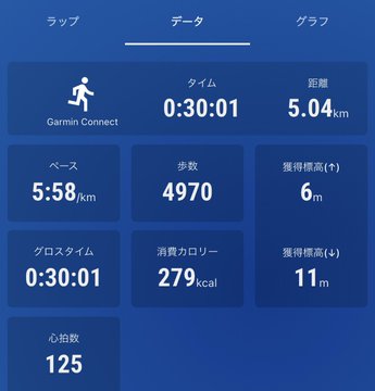 The image shows a blue phone screen displaying various fitness statistics including running time, distance traveled, speed, calories burned, and steps taken. The top of the screen is titled "Running" with an image that resembles a person running, while another section is named "Step Connection" which provides information on how to connect it with a Garmin device or another similar fitness tracking system.