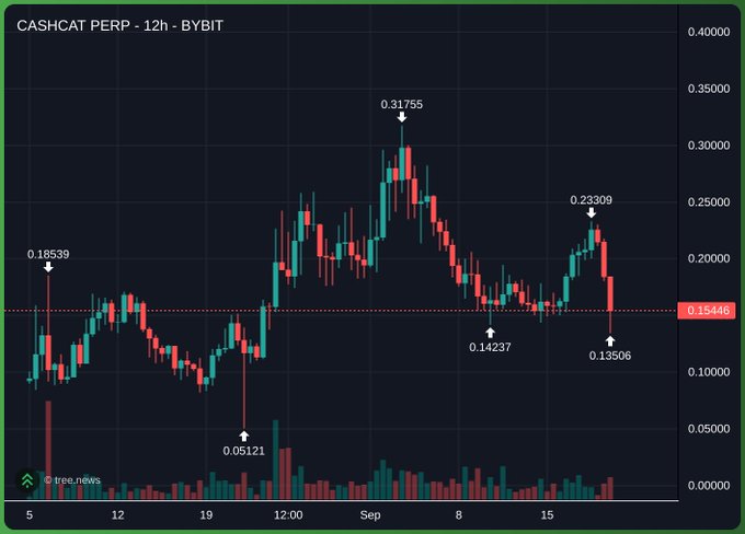 The image displays a 12-hour candlestick chart of $CASHCAT PERP on Bybit, highlighting key price points including a high of 0.31755, lows around 0.05121 and 0.13506, and a current price near 0.15448. The volatile price action with significant swings visually reinforces the post's mention of "a lot of ups and downs" experienced by holders of the CASHCAT token.