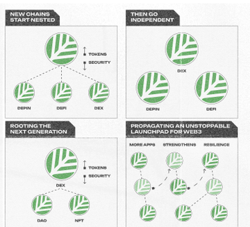 An infographic explaining Web3 launchpad structure with sections titled 'NEW CHAINS START NESTED', 'THEN GO INDEPENDENT', 'ROOTING THE NEXT GENERATION', and 'PROPAGATING AN UNSTOPPABLE LAUNCHPAD FOR WEB3' showing relationships between DEX, DePIN, DeFi, DAO, and NFT.