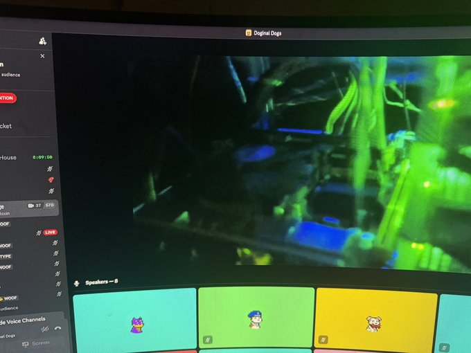 A monitor displaying the 'Digital Dogs' Discord voice channel, featuring a glitchy, psychedelic video stream and user avatars including a purple character, a green figure with a beanie, and a pink-haired avatar in speaker slots.