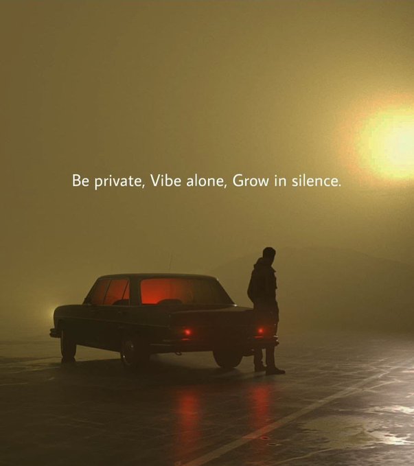 The image features a man standing next to his car, which appears to be an older model with a red tail light. The background of the photo shows a foggy road or street, adding a sense of mystery to the scene. There are also some words written in the image that read "Be private, Vibe alone, Grow in silence." This message seems to be related to the man's car and his overall life choices.