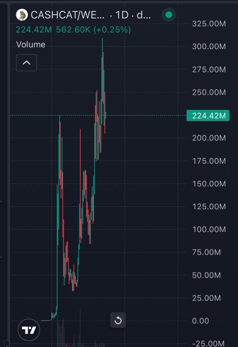 A TradingView chart showing CASHCAT/WE... on a 1-day timeframe with a current volume of 224.42M (562.60K, +0.25%), illustrating the token's price action near all-time highs as referenced in the post.