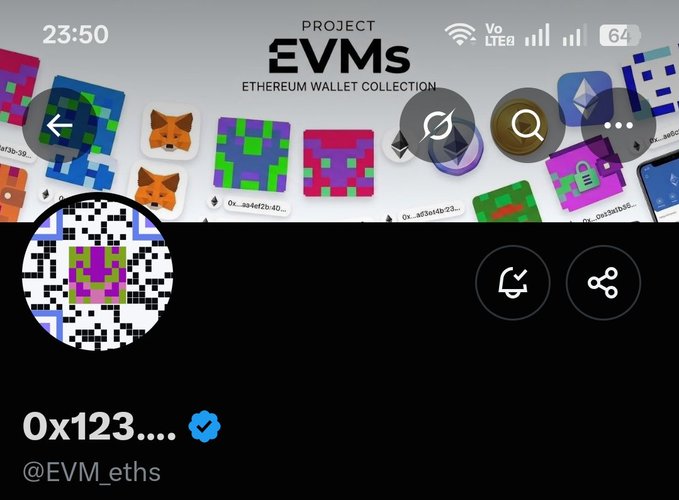 A mobile screenshot displays the PROJECT EVMs Ethereum Wallet Collection NFT interface with pixel-art wallet designs at the top. A profile for '0x123......' (@EVM_eths) with a verified checkmark appears below.