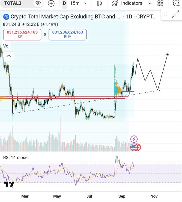 A TradingView chart of TOTAL3 (Crypto Total Market Cap Excluding BTC and ETH) showing a price of 831.24B, up +1.49%, with technical analysis annotations including an upward trendline breakout projection and RSI 14 indicator.