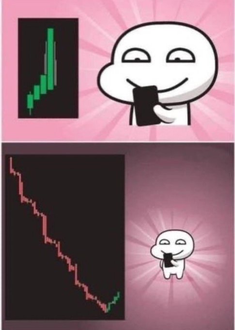 The image is a two-panel meme showing a cartoon figure happily holding a phone while a green candlestick chart rises (top panel), followed by the same figure now shrunken and dwarfed by a massive steeply declining red candlestick chart (bottom panel), humorously illustrating how quickly initial gains can be wiped out.