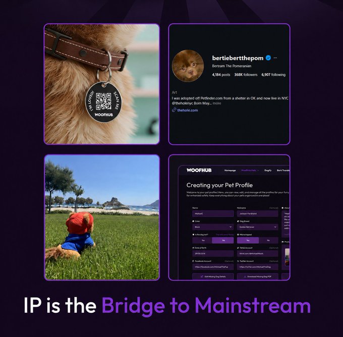 A promotional graphic titled 'IP is the Bridge to Mainstream' showing a dog tag NFT project, an Instagram profile for 'bertieberthepom', a dog in a field, and a 'WOOFHUB' dashboard for creating pet profiles.