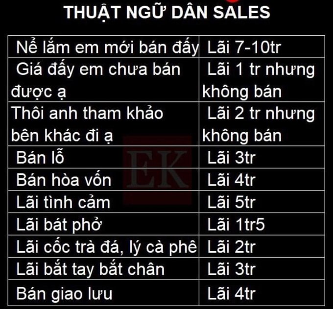 A Vietnamese meme titled 'THUẬT NGỮ DÂN SALES' (Sales People Terminology) with a humorous table comparing literal sales phrases to their actual meaning in terms of profit (lãi).