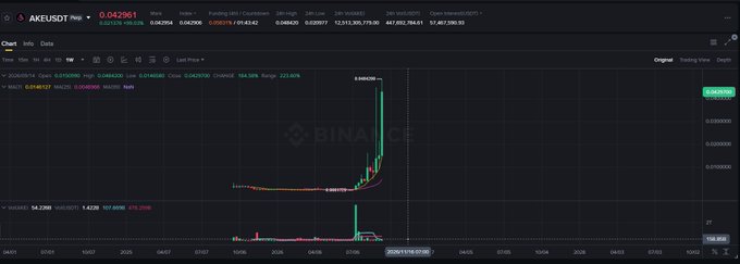 A TradingView chart shows AKEUSDT on Binance with a price spike to 0.042961 on November 16, 2025, reflecting the post's claim of a nearly 300x gain in just 2 months.