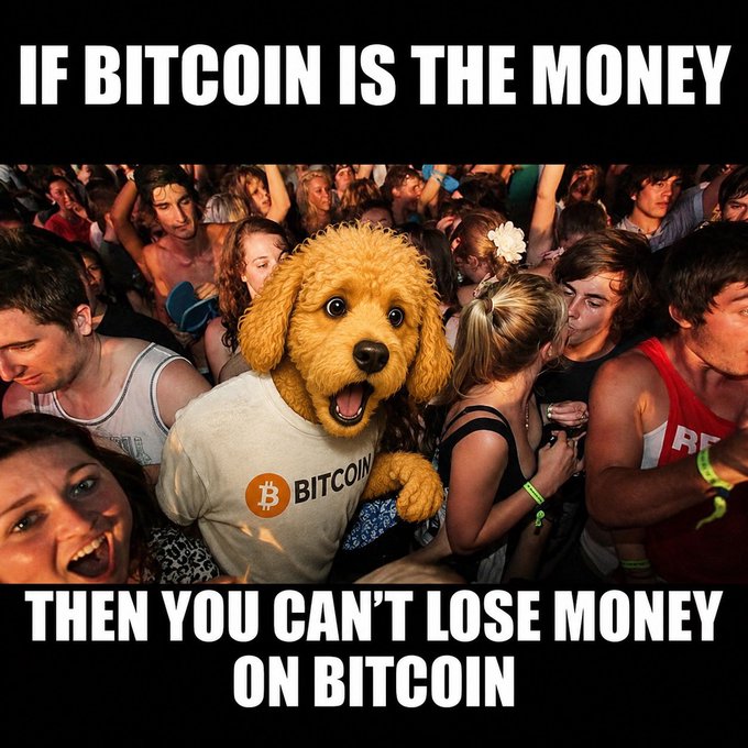 A meme featuring a golden retriever puppy wearing a 'BITCOIN' shirt in a party crowd, with text 'IF BITCOIN IS THE MONEY' and 'THEN YOU CAN'T LOSE MONEY ON BITCOIN'.