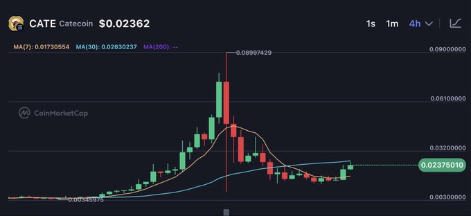 A CoinMarketCap candlestick chart shows the price of CATE (Catecoin) at $0.02362, displaying price action over a 4-hour timeframe with moving averages (MA7, MA30, MA200) and a notable peak around $0.0899.