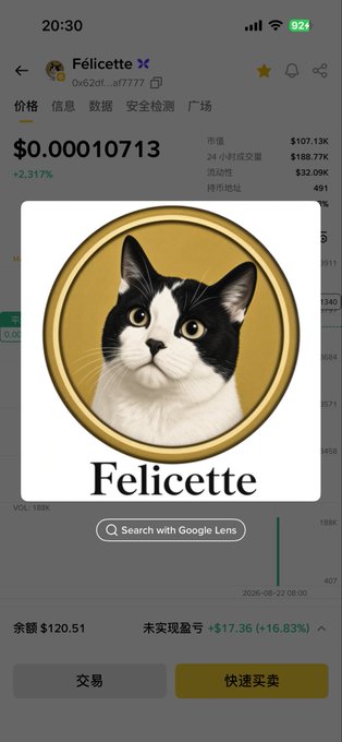 A cryptocurrency trading app showing the token 'Félicette' (ticker 0x6c2f...af7777) priced at $0.00010713, featuring a logo with a black and white cat on a gold coin.