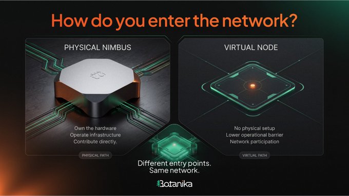 A Botanika network infographic titled 'How do you enter the network?' comparing two entry methods: a 'Physical Nimbus' hardware device and a 'Virtual Node' with no physical setup, both connecting to the same network.